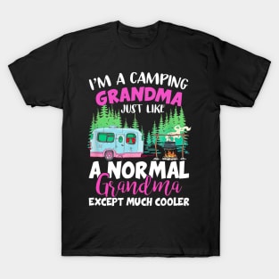 Camping Grandma Like A Normal Grandma Except Much Cooler T-Shirt